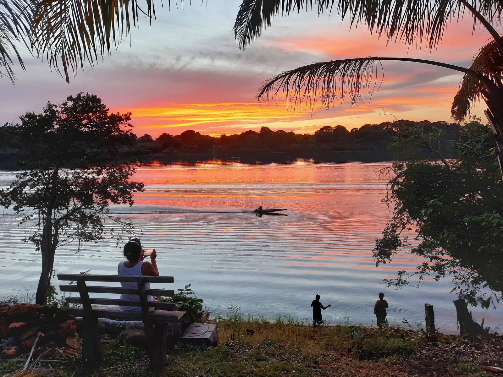 Projetos ambientais fortalecem preservação e geram oportunidades na região amazônica